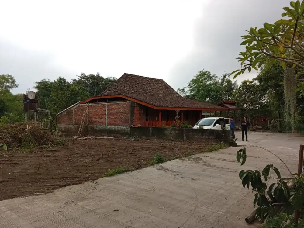 Tanah Jogja Premium Asri Sejuk Bisa Dicicil 12x Tanpa Bunga Hunian Impian