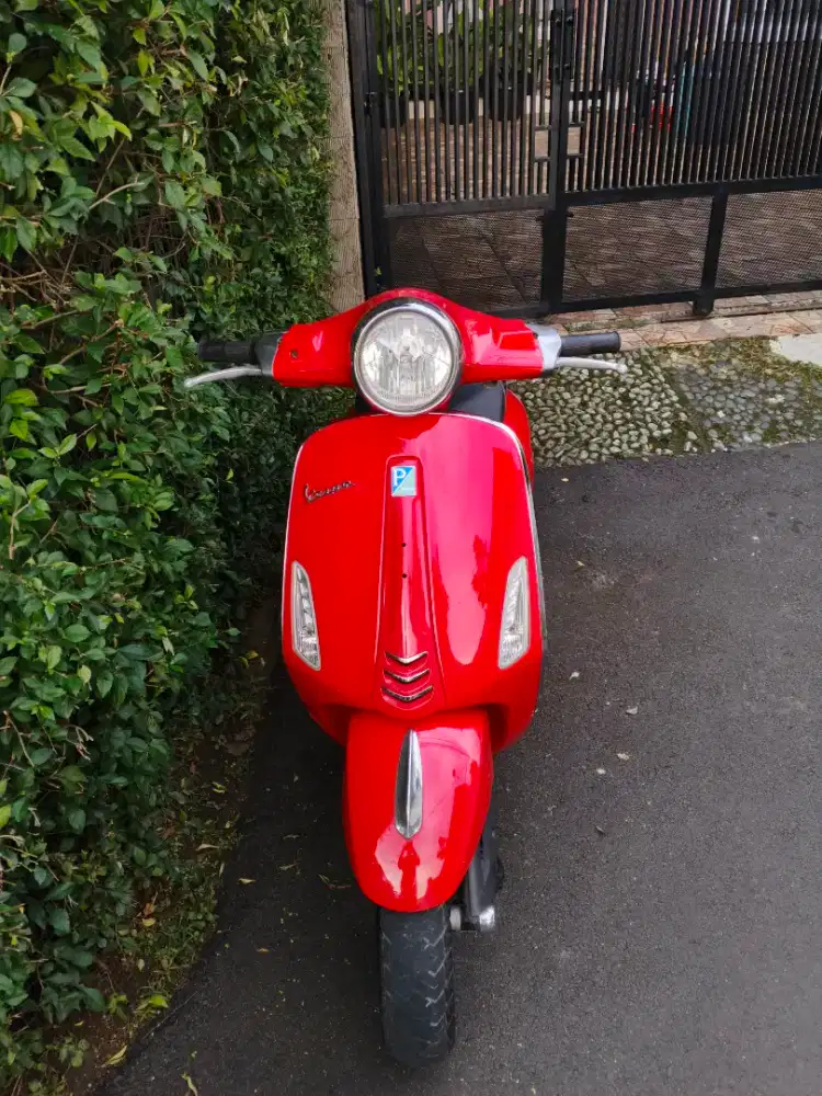 Vespa primavera