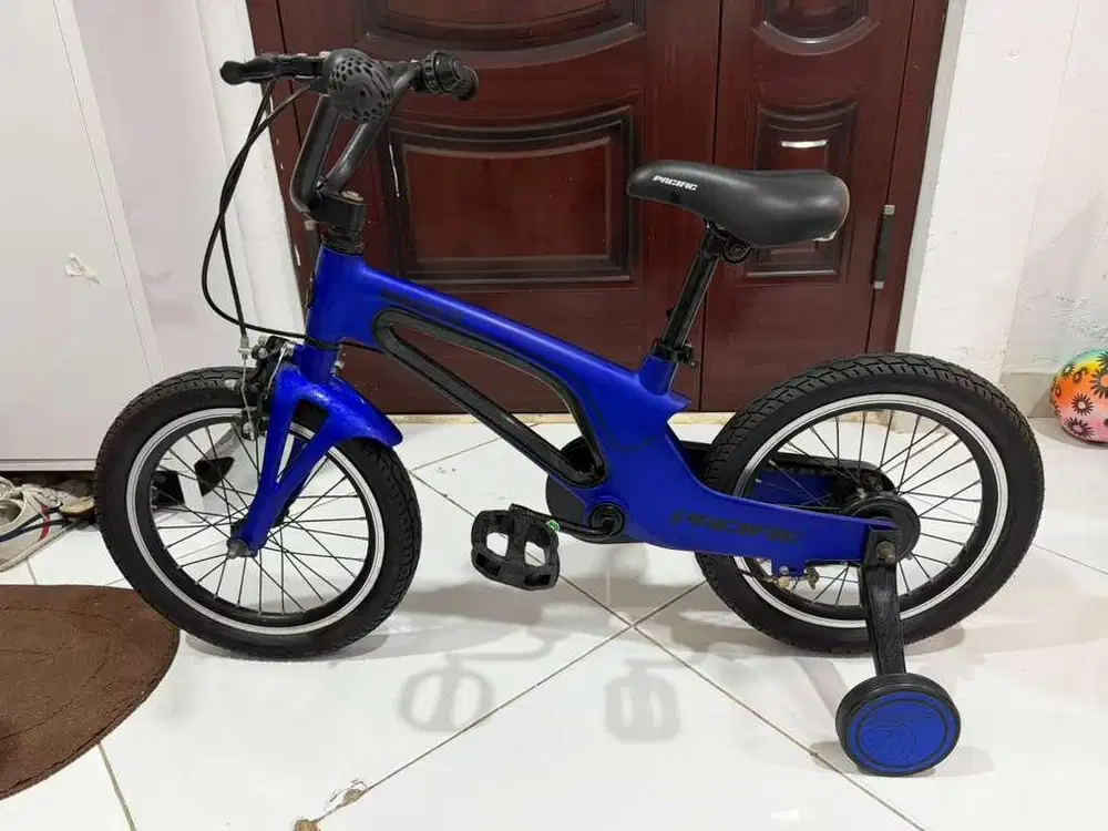 Preloved sepeda anak pacific
