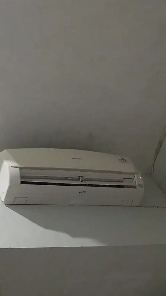 AC Sharp 1/2 PK