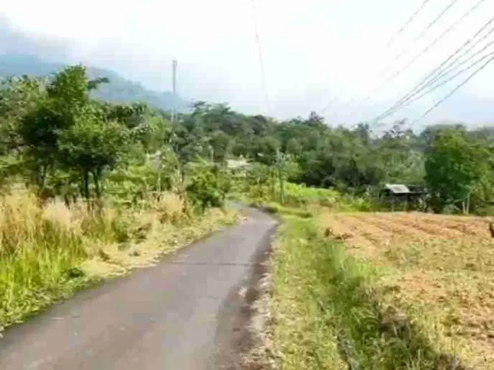 dijual tanah kebun di nanggung lewilyang