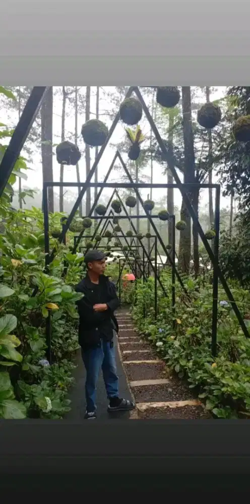 Mencari pekerjaan