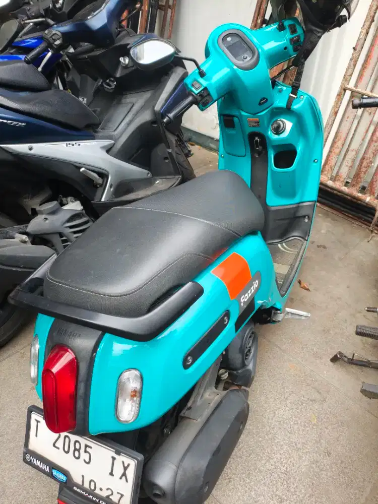 Jual Fazzio Green 2022