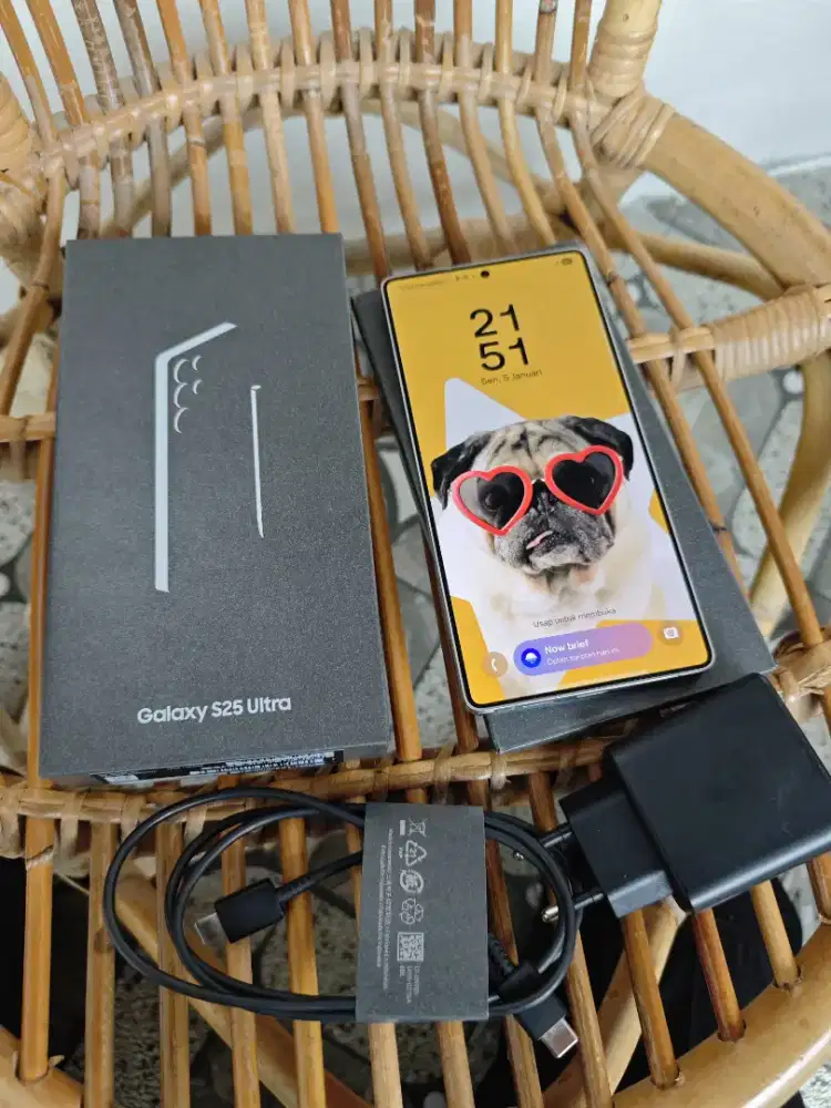 Samsung S25 Ultra 256GB Sein
