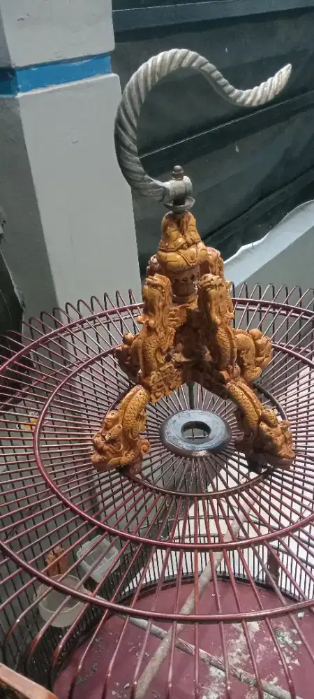 Kandang burung murai