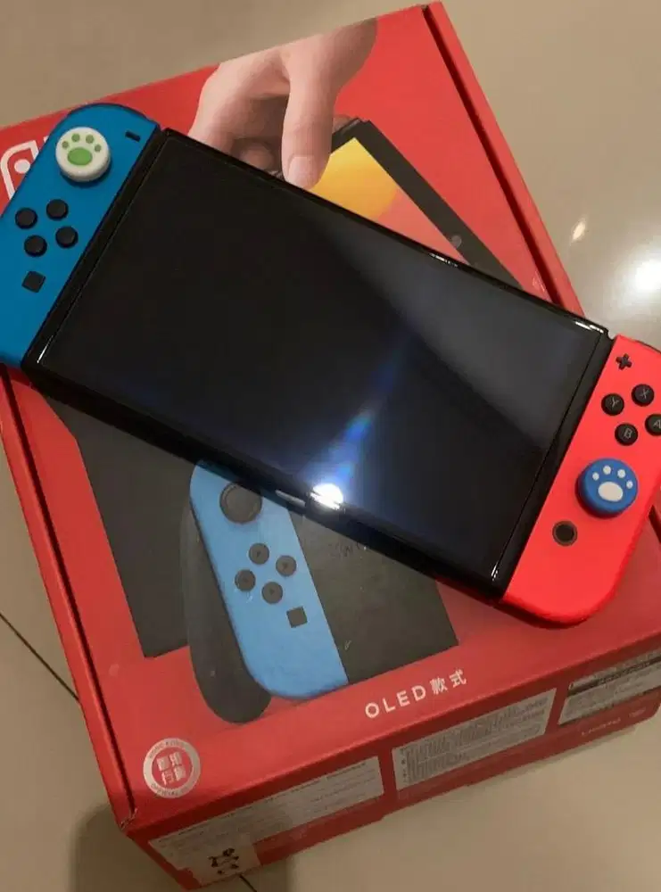 Nintendo Switch Oled 256 GB Dualboot