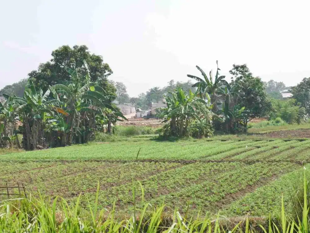 SPECIAL OFFER TANAH STRATEGIS 9 Hektar di Cileungsi