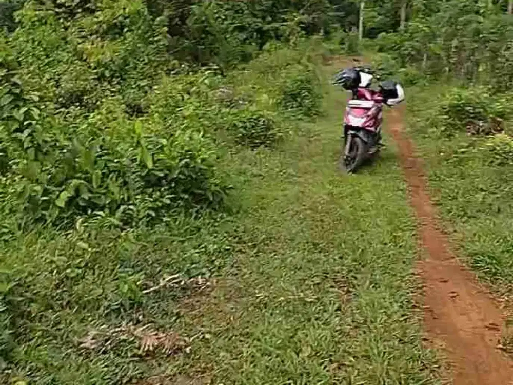 dijual tanah kebun di Cigudeg Bogor barat
