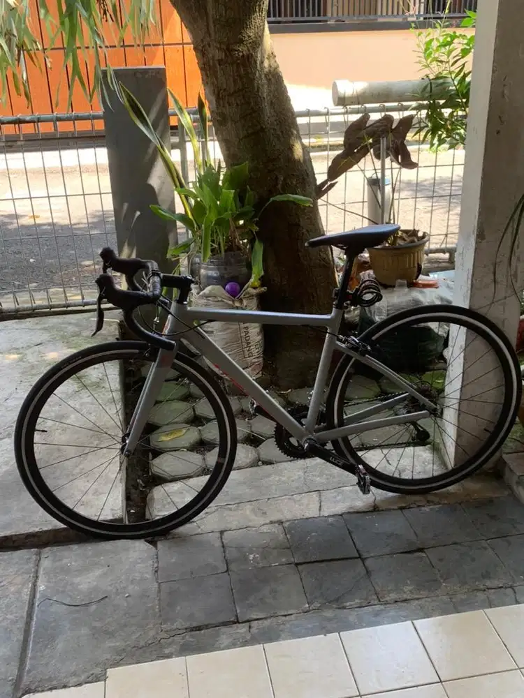 Roadbike Element Curved