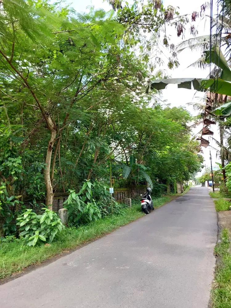 Tanah Samping Sungai Cocok Untuk Villa di Sedayu