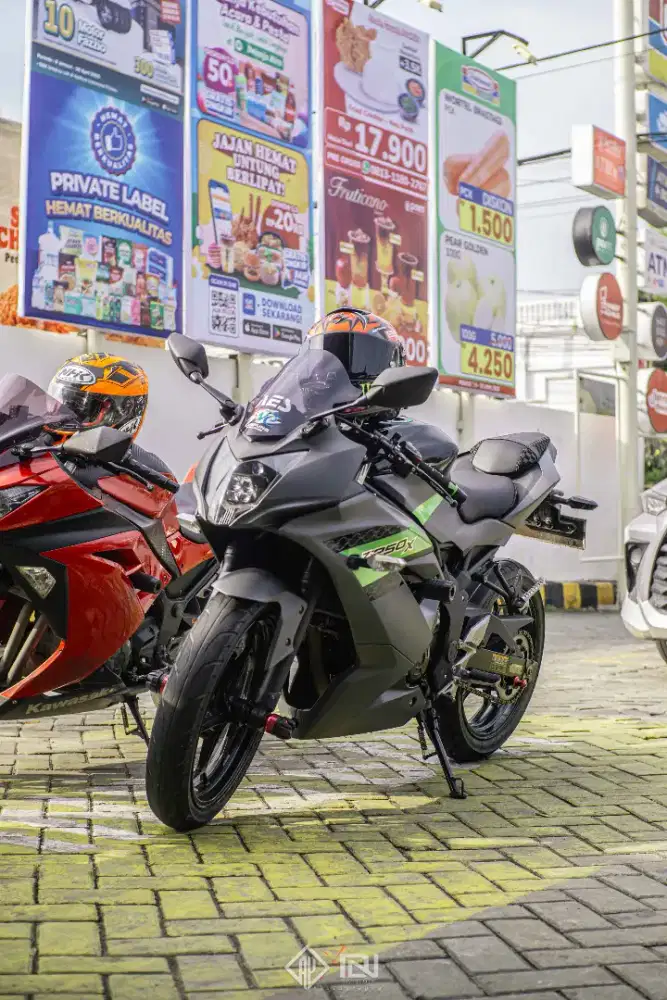 Ninja mono 250 livery zx6