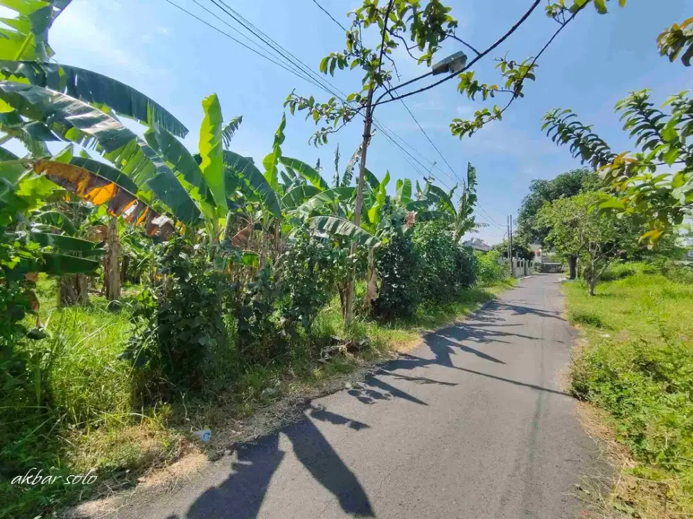 dijual tanah kampus ums solo