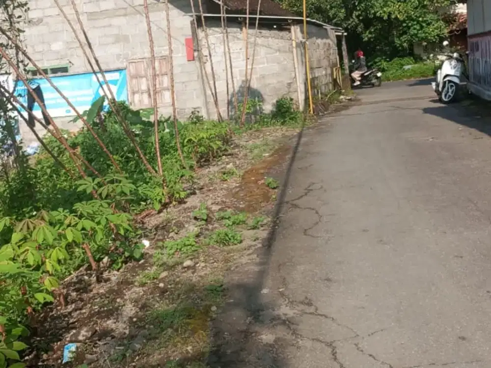 MURAH TANAH PEKARANGAN NGAGLIK SLEMAN YOGYAKARTA