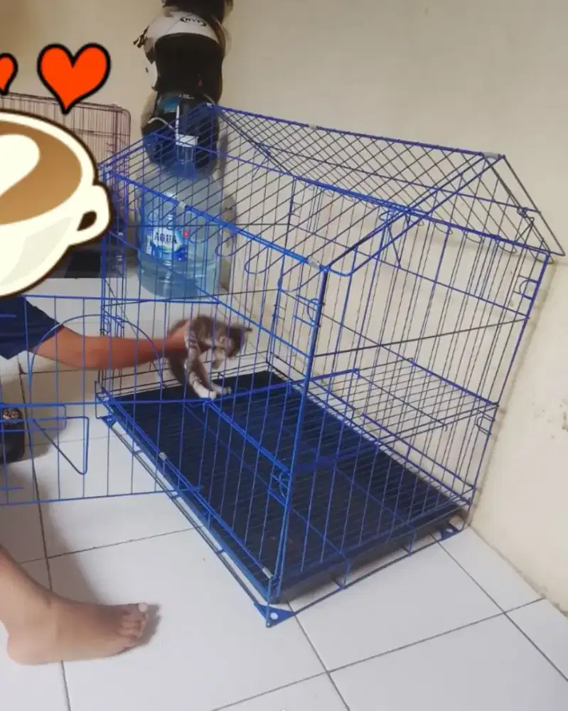 Kandang model atap rumah 60×40×55