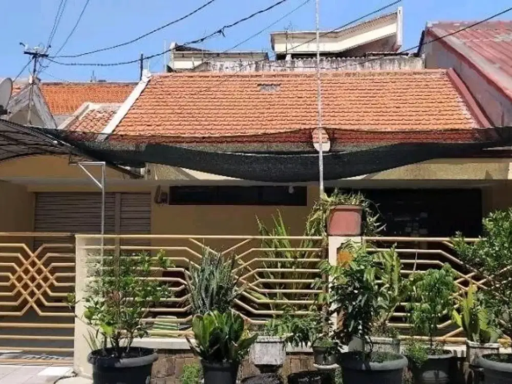 TENGGILIS