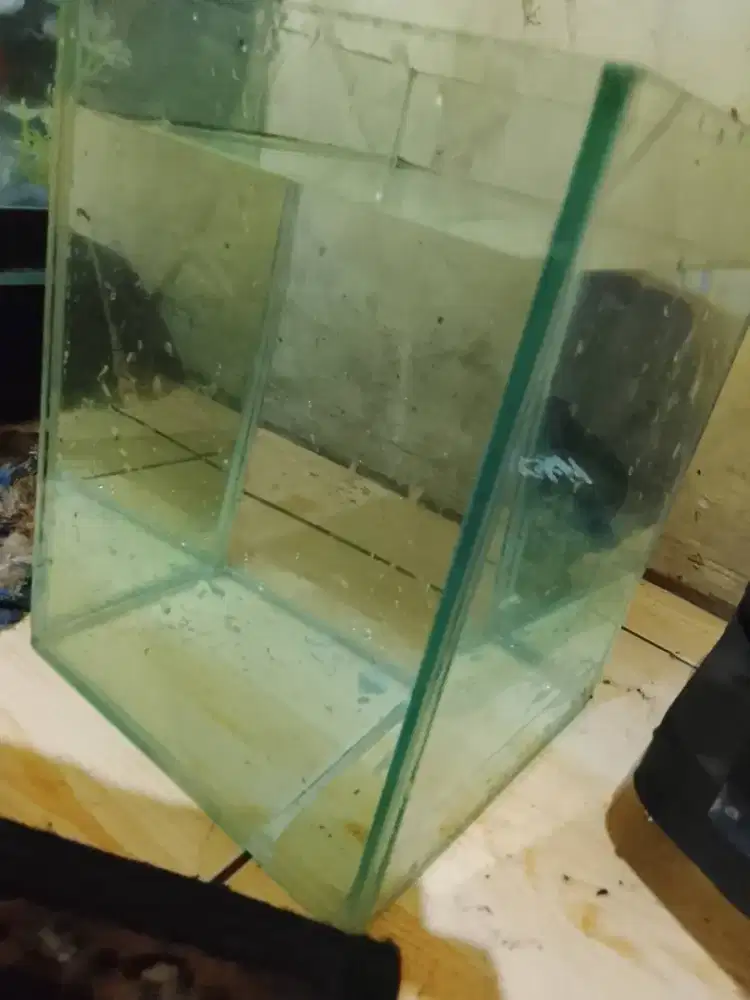 Aquarium mini masih baru isi air doang