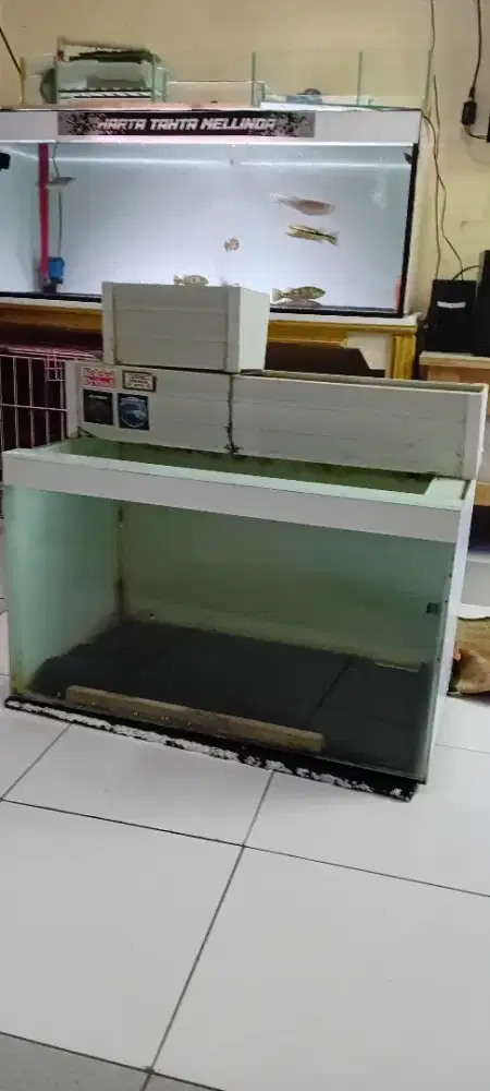 Aquarium 60x36 + talang filter