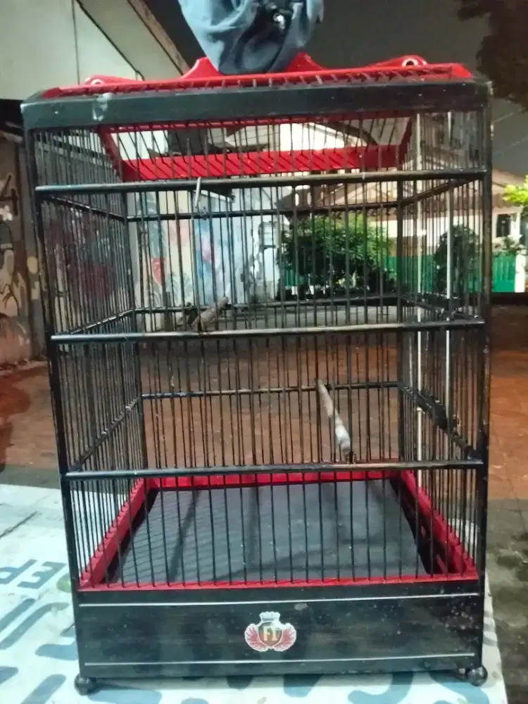 Kandang merk F1 no 3