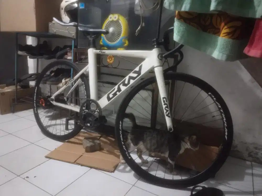 Sepeda fixie GrayF15