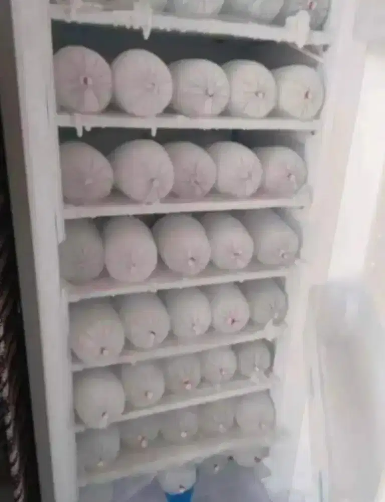Jual bu freezer kulkas ukuran 8 rak merk SHARP