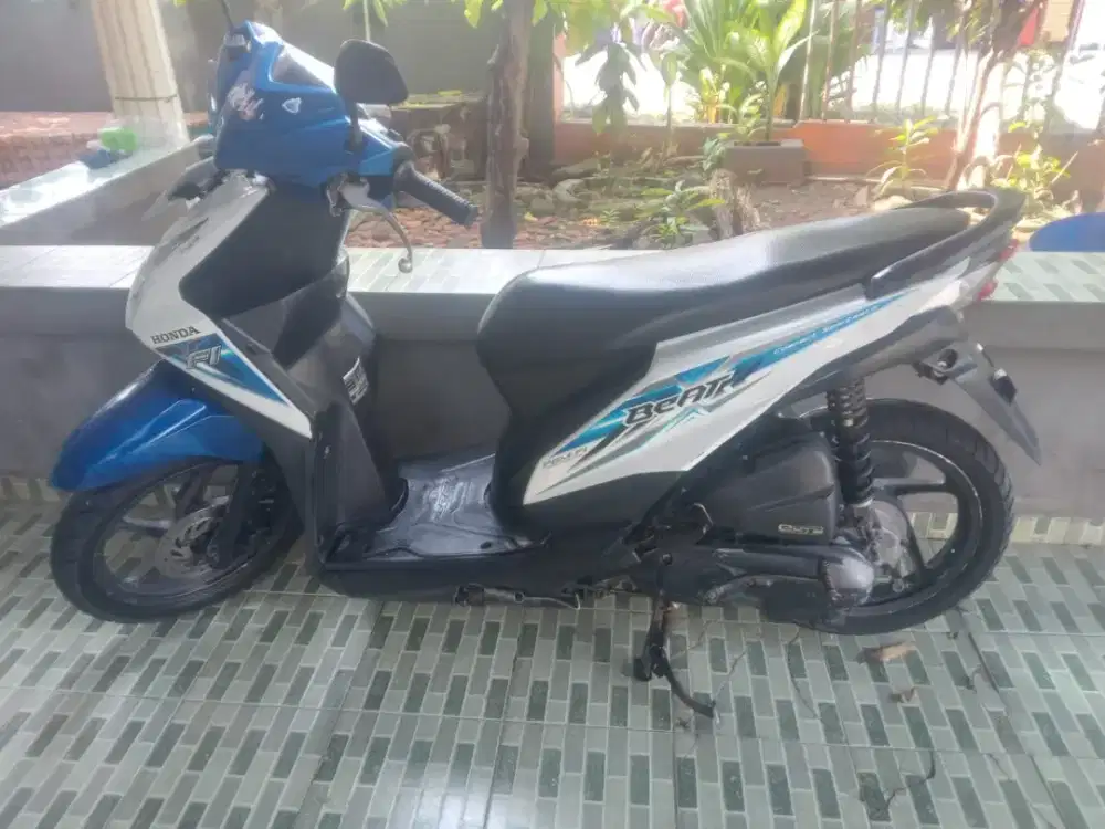 Beat ESP pajek hidup