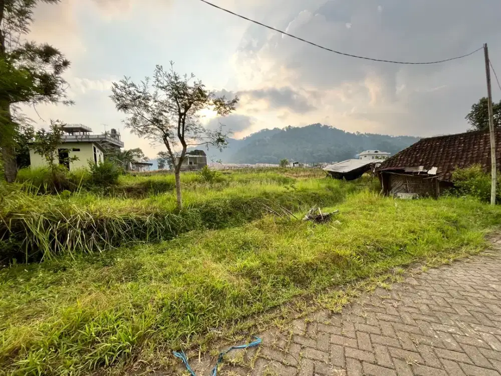 Tanah Murah di Dekat Balai Kota Among Tani Batu Malang
