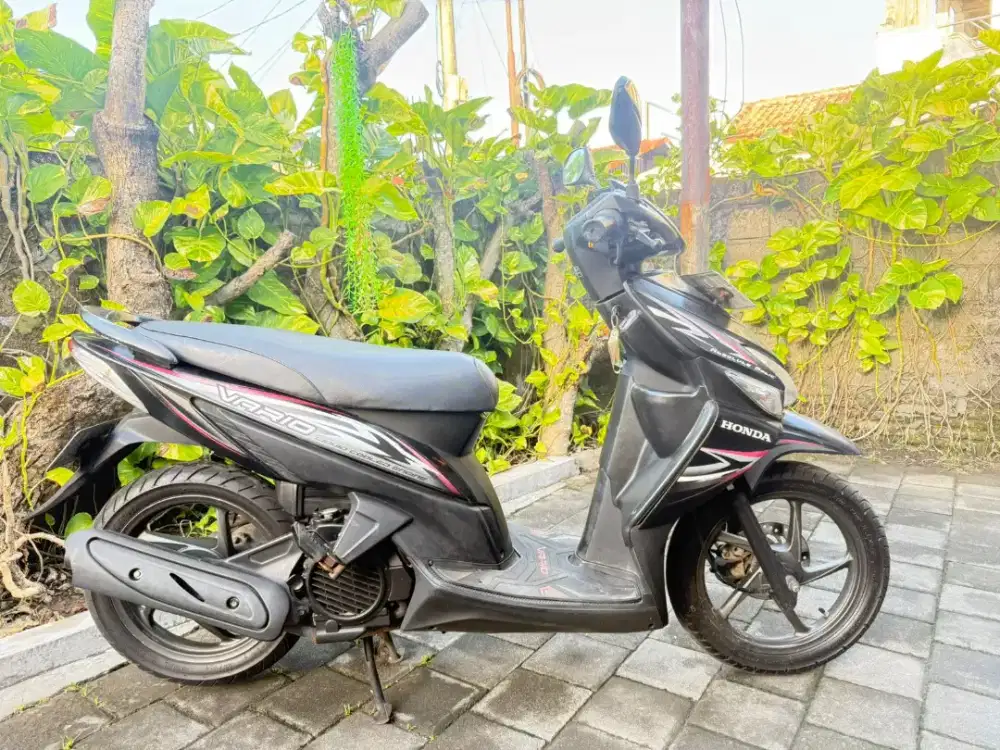 motor vario 2014