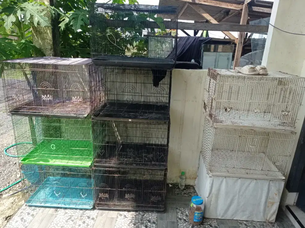 Kandang ukuran 60x40x40