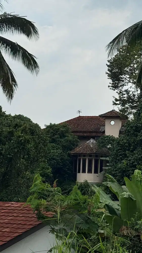 Disewakan Lahan Luas Cikole Selabinta Sukabumi 1342m² Cocok Cafe Villa