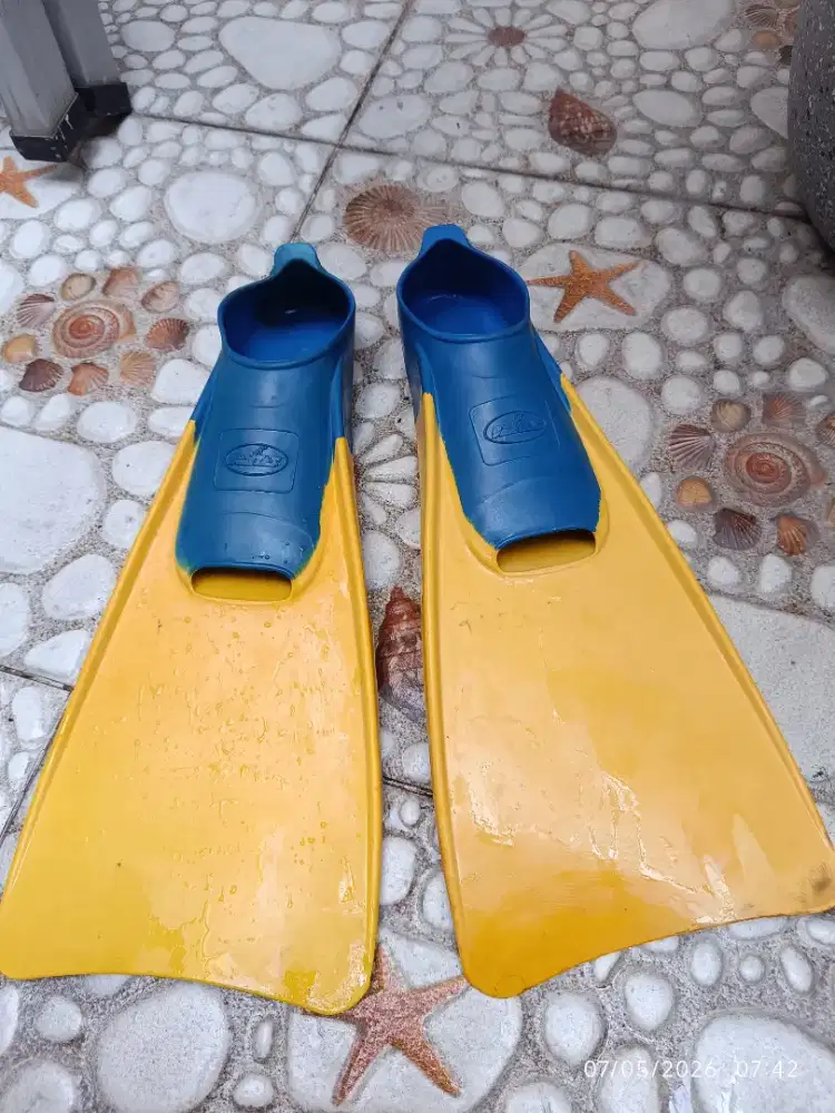 Kaki katak renang / swim fins size 42/43