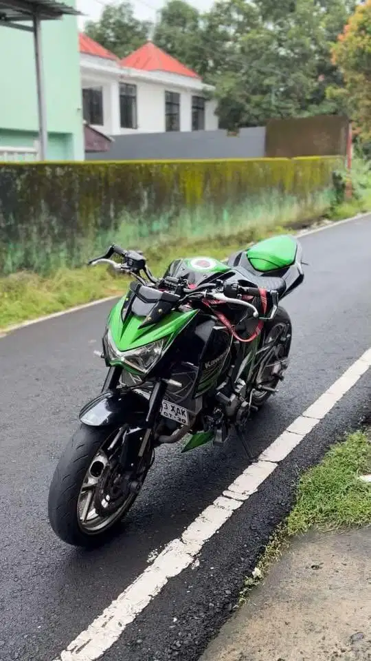Z800 2015 Hijau Original Colour