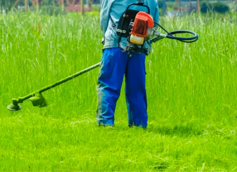 JASA POTONG RUMPUT & BERSIH-BERSIH MURAH