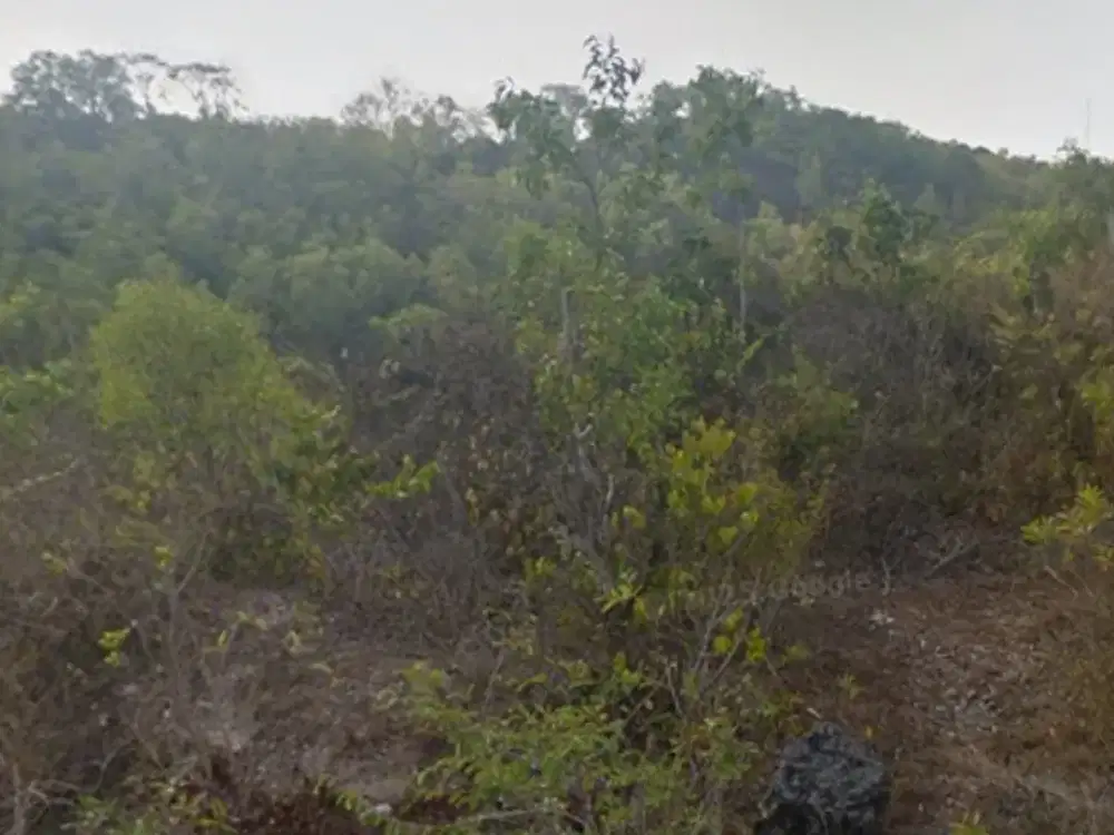 DIJUAL 2 BIDANG TANAH TOTAL LUAS 4000 M2 DI KUTUH, BADUNG