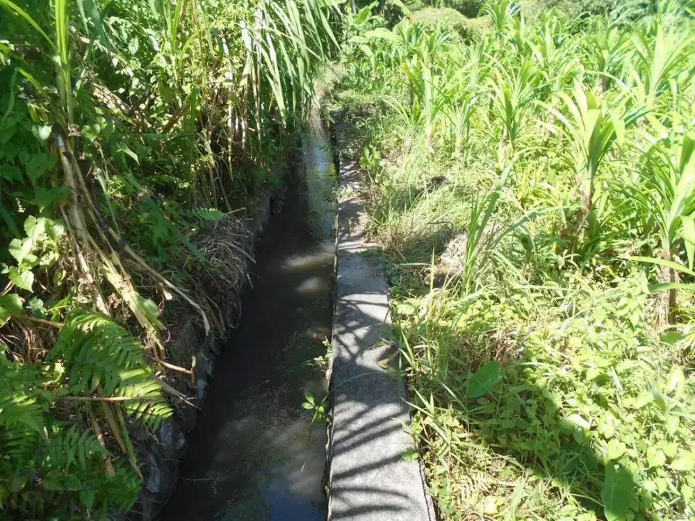 DIJUAL 1 BIDANG TANAH LUAS 670 M2 DI ABIANSEMAL, BADUNG