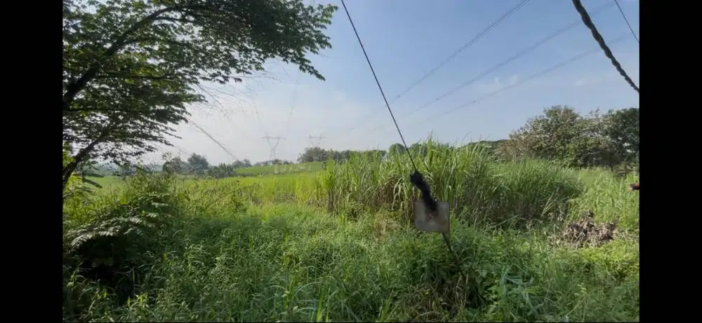 Dijual lahan Kosong Jalan Raya Kedamean Sebrang Citraland Kedamean