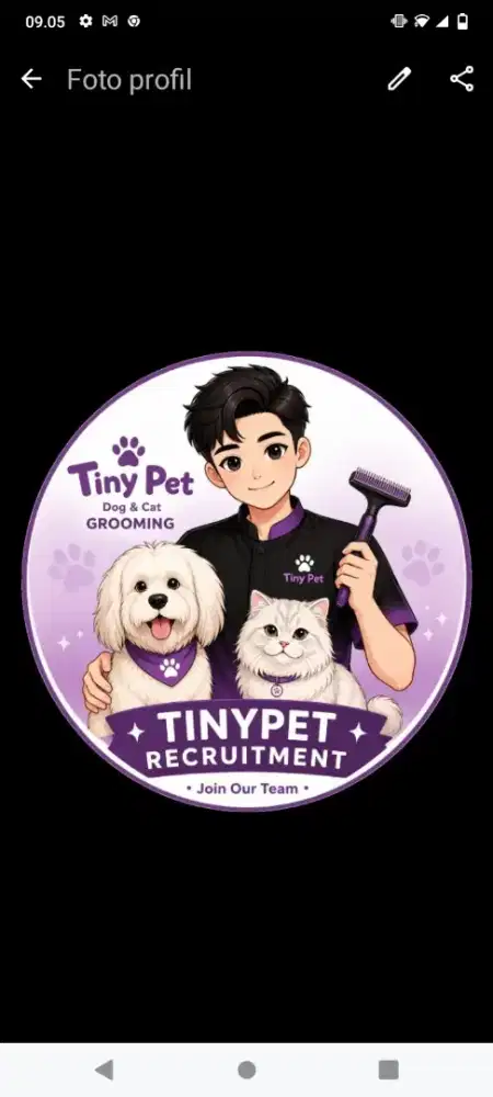 Dicari Groomer /Memandikan Kucing & Doggy Panggilan
