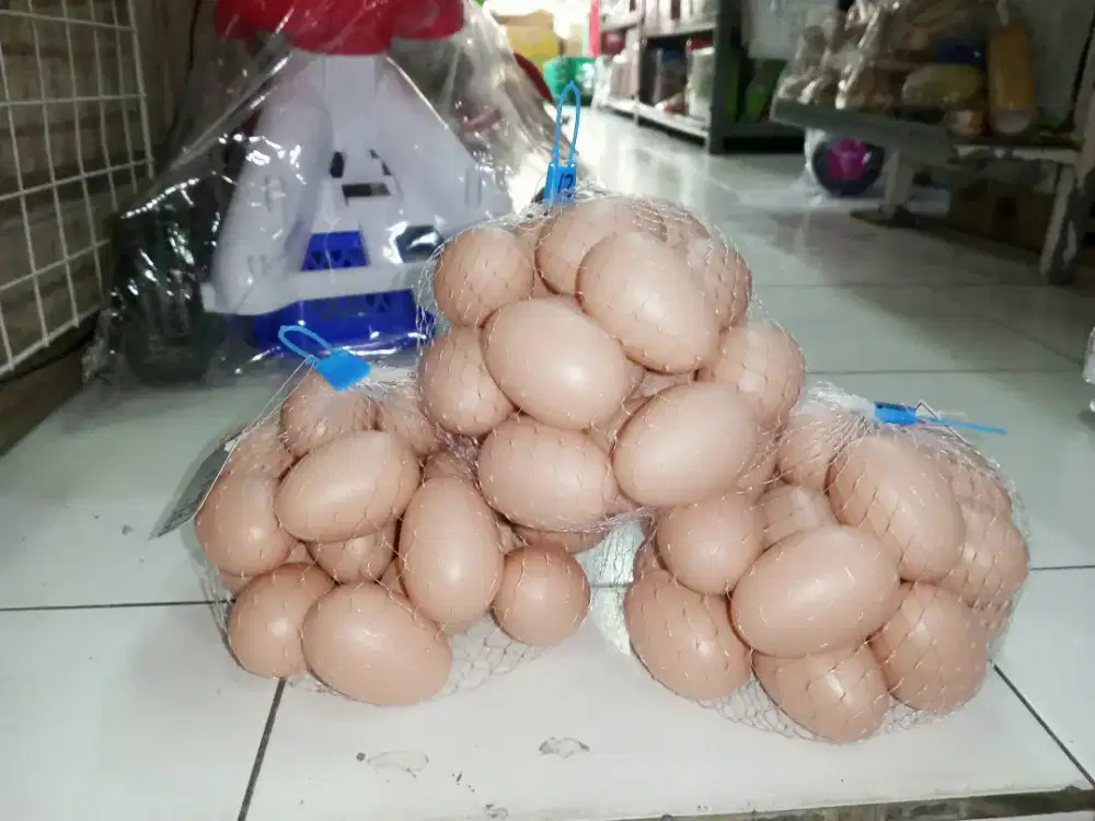 Mainan Anak Telur ayam jala