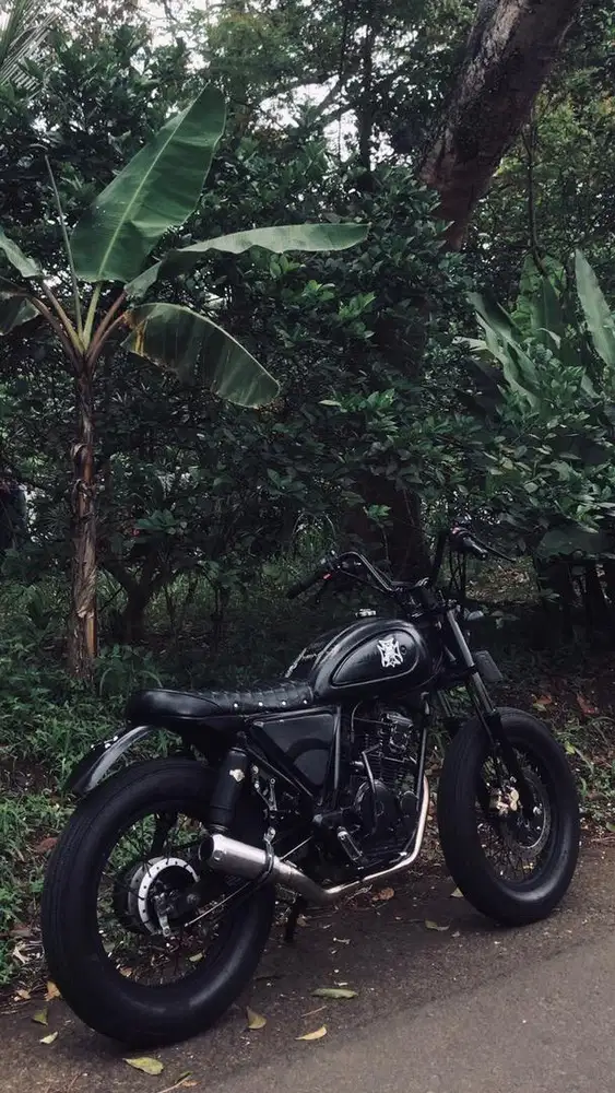 motor custom basic scorpio 2011
