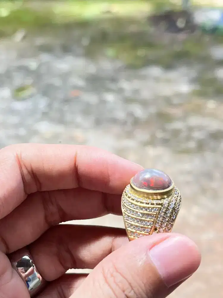 Batu cincin kalimaya afrika