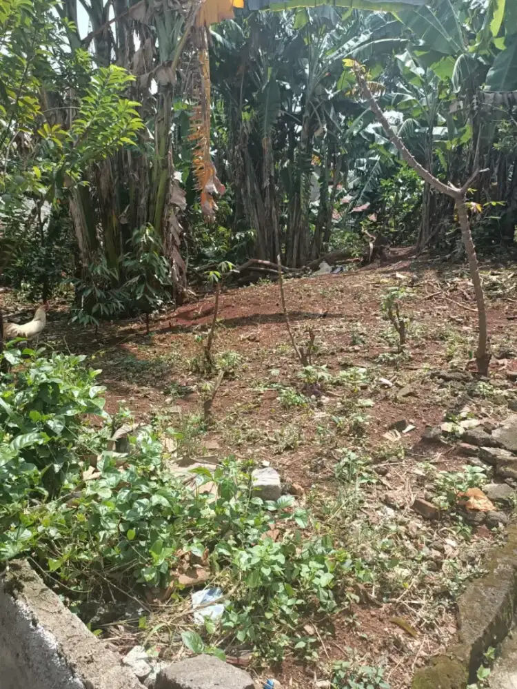 Dijual Tanah Jatijajar Tapos Depok