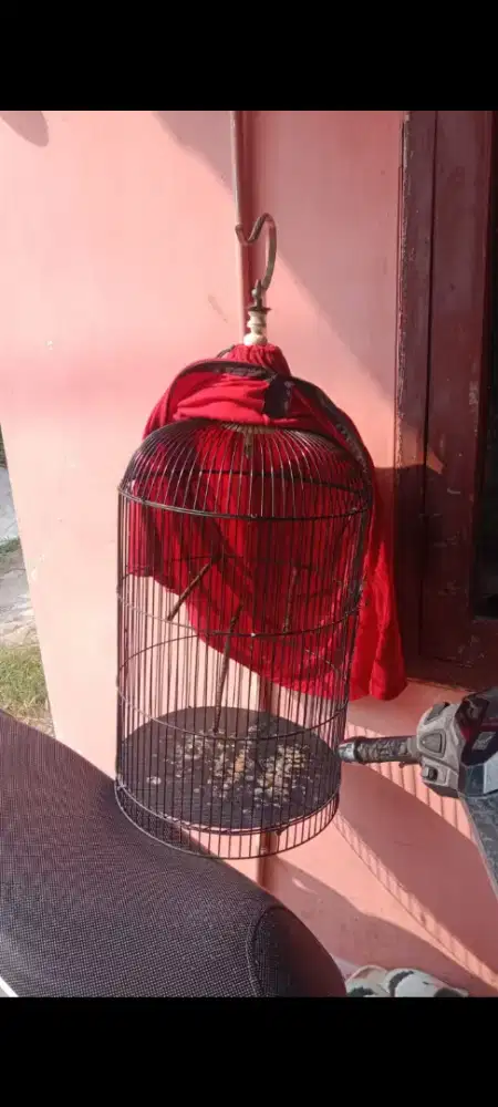 Kandang lovebird