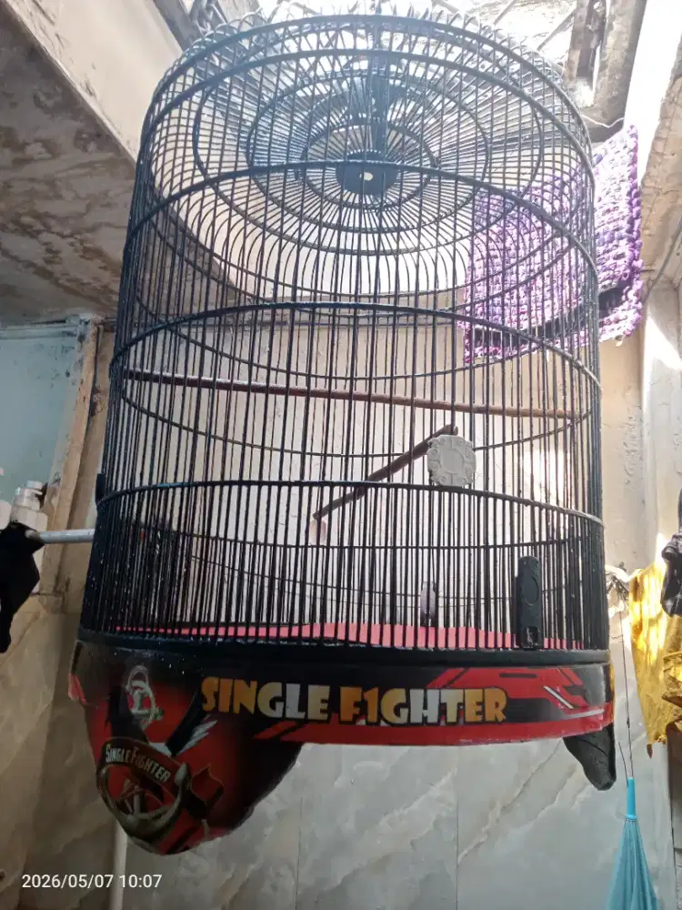 Kandang Burung murai No 1