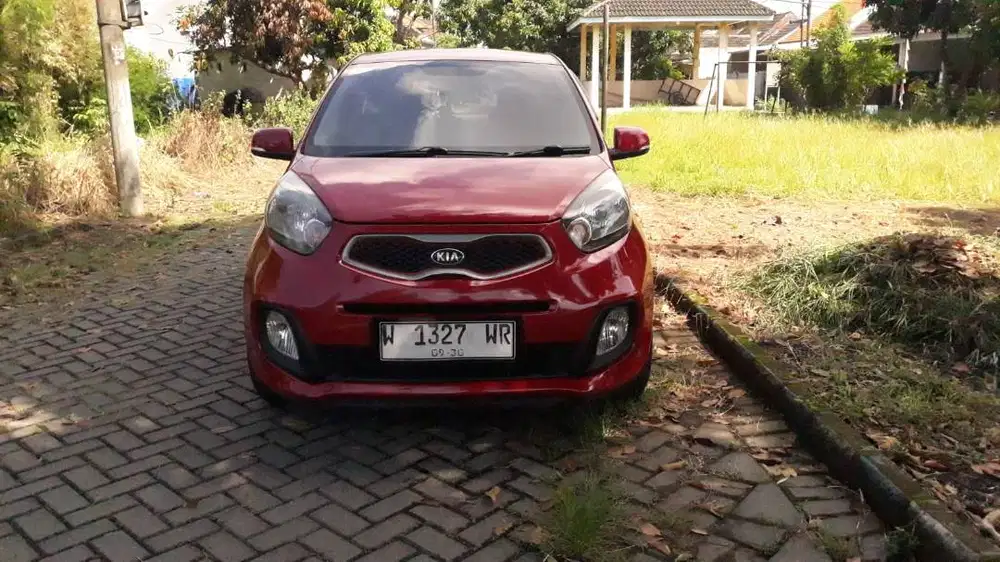 PICANTO 2014-2015