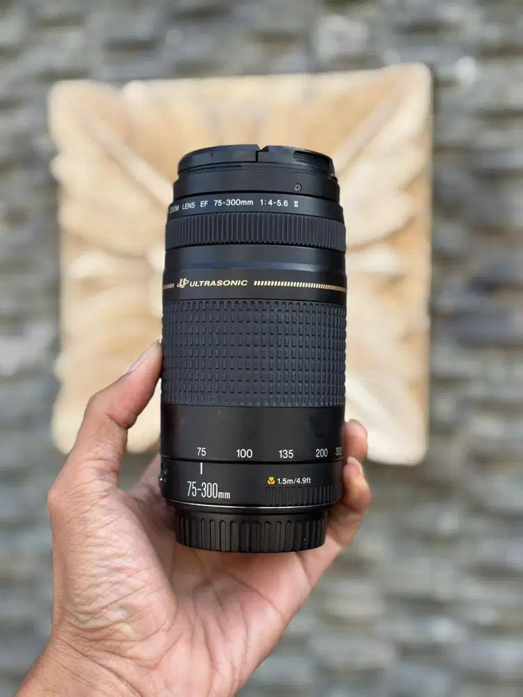 Canon EF 75-300mm USM Mulus Fungsi Normal Hasil Tajam