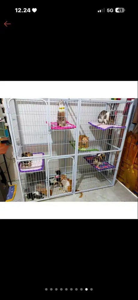 Di jual kandang kucing xl