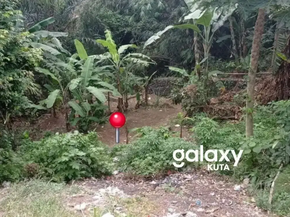 DIJUAL TANAH LOS SUNGAI DI DALUNG BADUNG