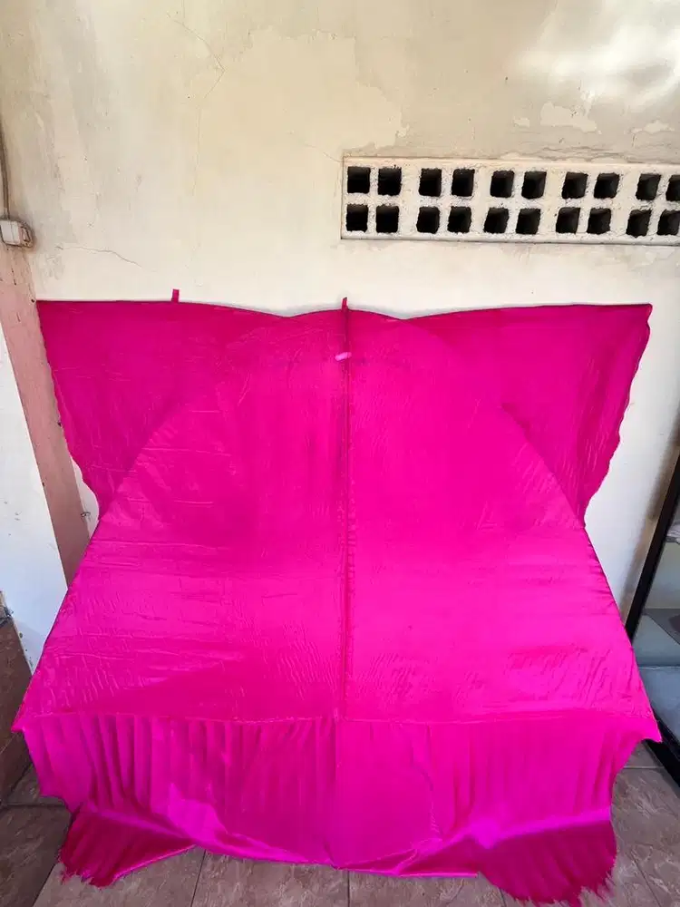 Jual layanagn celepuk pink