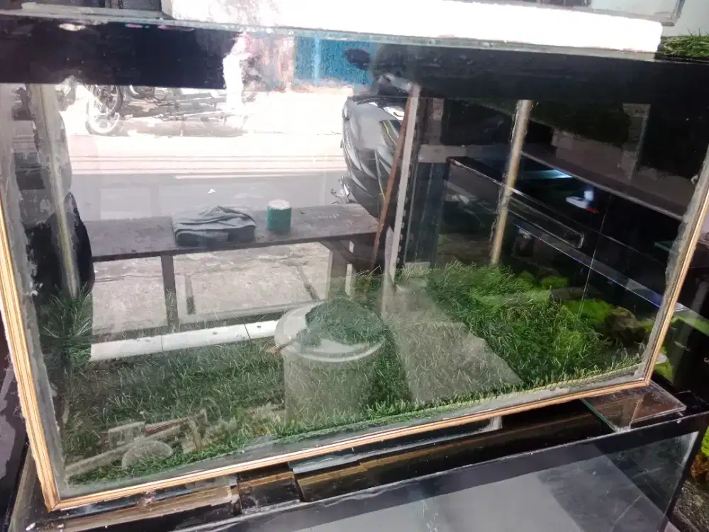 Jual aquarium ukuran 70 x 35  x 50  siap pakai dasaran rumput sintetis