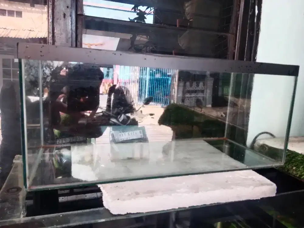 Aquarium ukuran 60 x25 x 25
