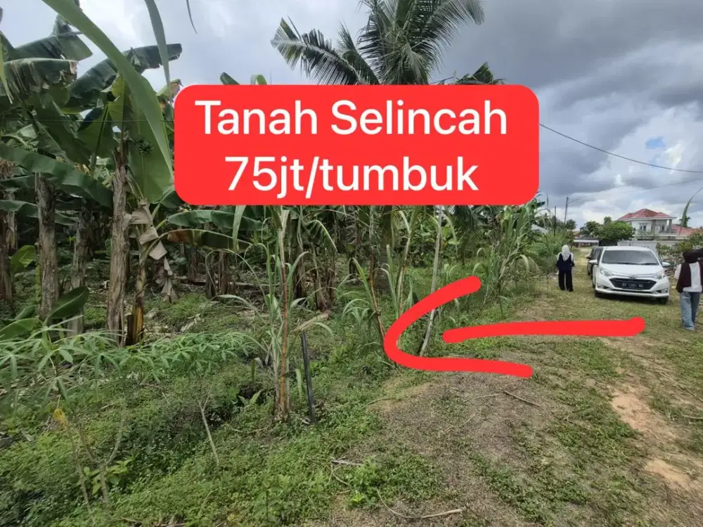 Tanah Murah Belakang Fres Selincah